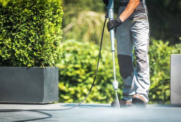 Best Patio and Deck Pressure Washing  in Walthourville, GA