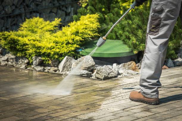 Best Gutter Cleaning  in Walthourville, GA