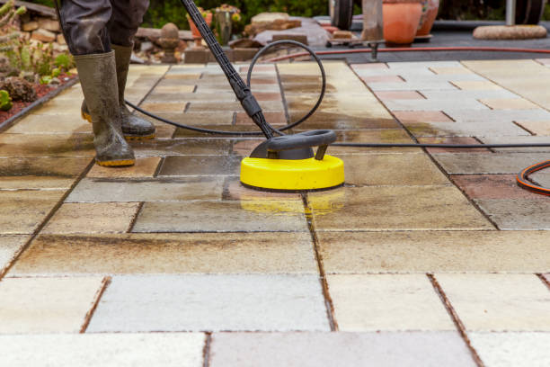 Best Animal Enclosure Cleaning  in Walthourville, GA